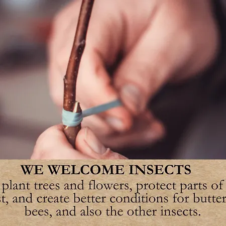 مكان تخييم Krusmolle Glamping أبينرا