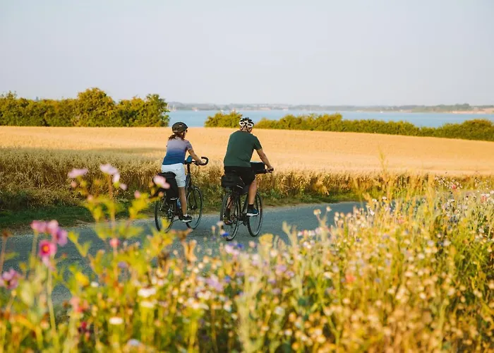 Krusmolle Glamping 营地 *