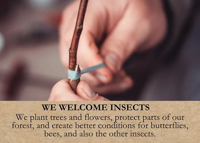 营地 Krusmolle Glamping 奥本罗